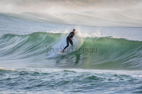 Palm_Beach