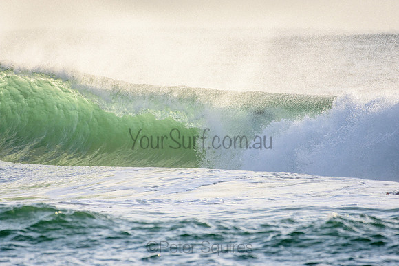 Palm_Beach