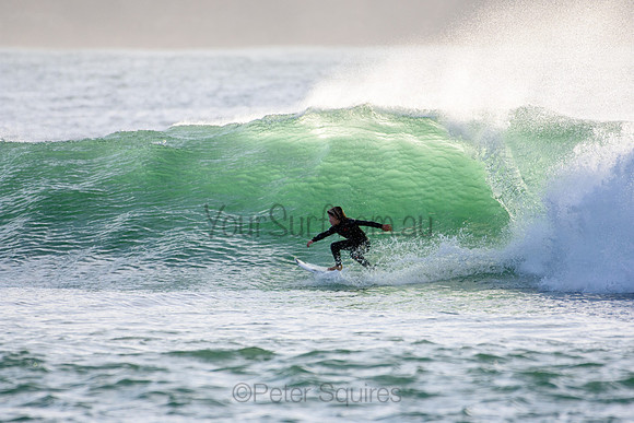 Palm_Beach