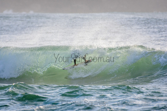 Palm_Beach