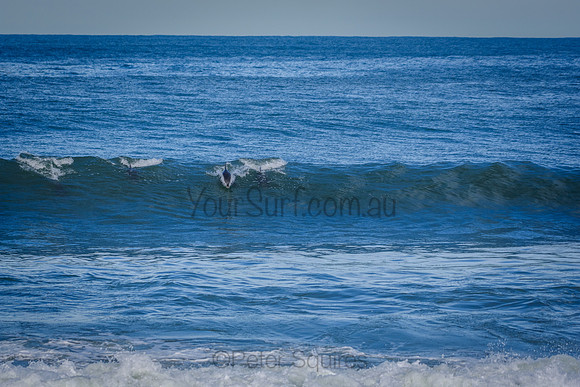 Avalon_210601_133442_0076