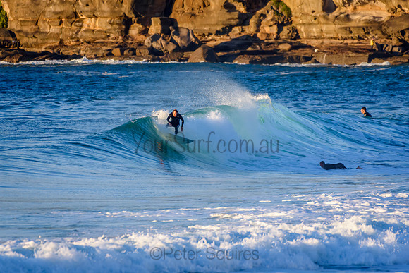 Whale_Beach_210611_073222_0102