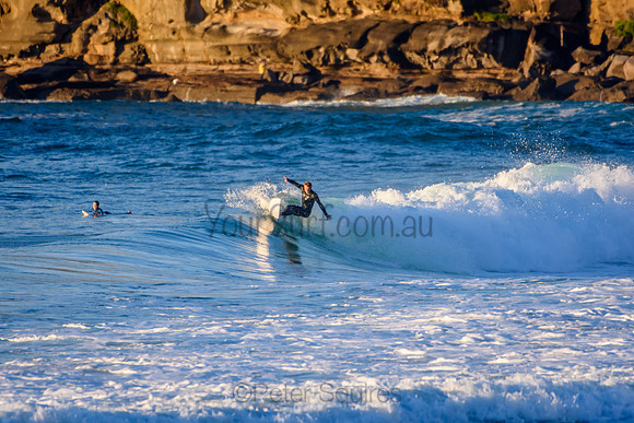 Whale_Beach_210611_073223_0103
