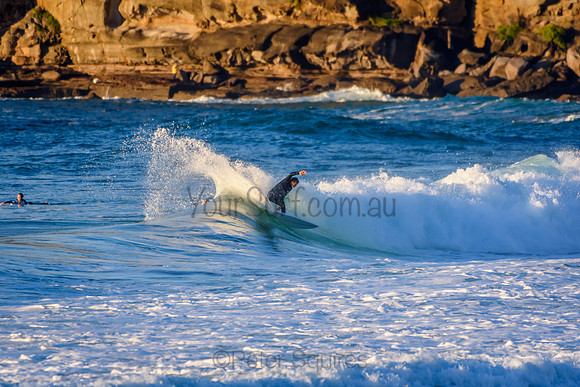 Whale_Beach_210611_073224_0105