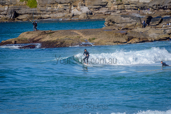 Whale Beach_210613_114349_0091