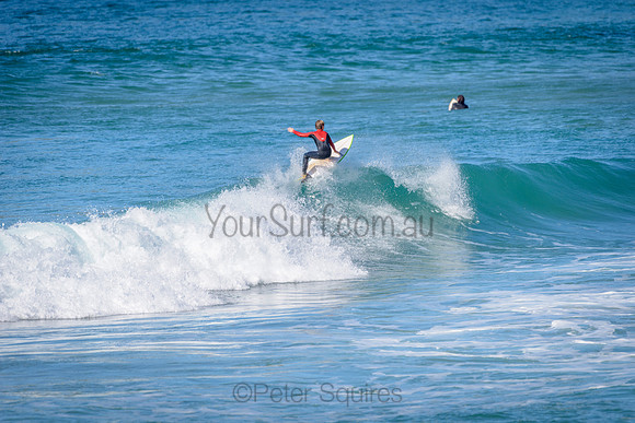 Whale Beach_210613_114611_0100