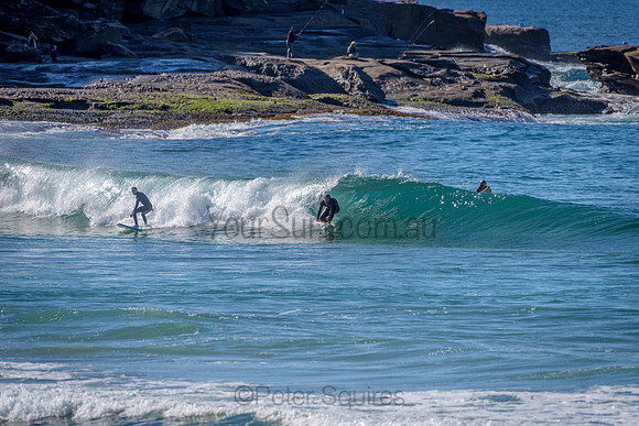 Whale Beach_210613_115158_0116