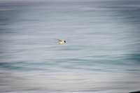 Avalon_210623_082051_0022-Edit