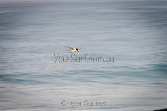 Avalon_210623_082051_0022-Edit