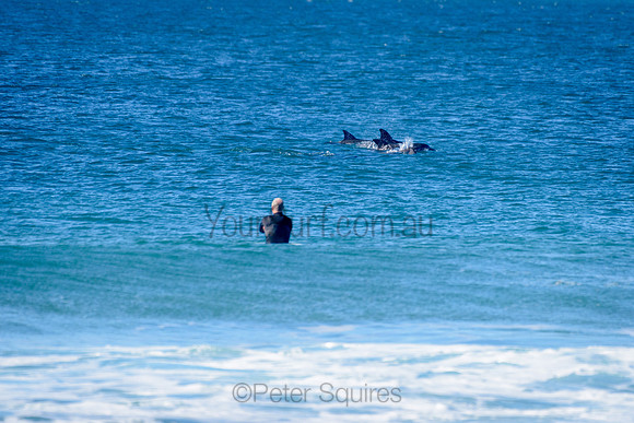 Palm_Beach_210625_102726_0008