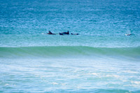 Palm_Beach_210625_103138_0017