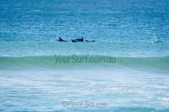 Palm_Beach_210625_103138_0017