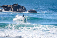 Whale Beach Fri 25/6/21 11:20-11:50