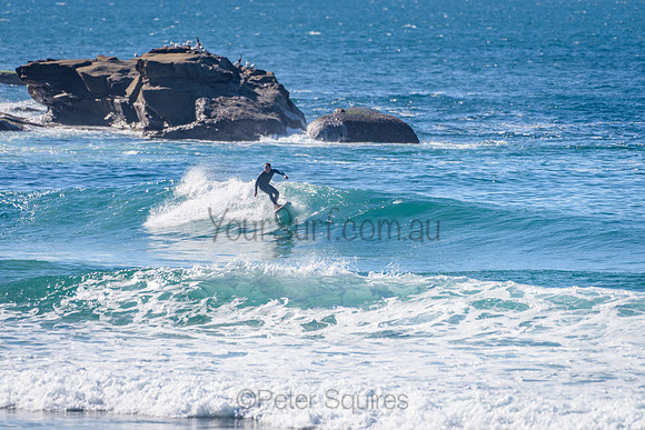 Whale Beach_210625_112001_0001