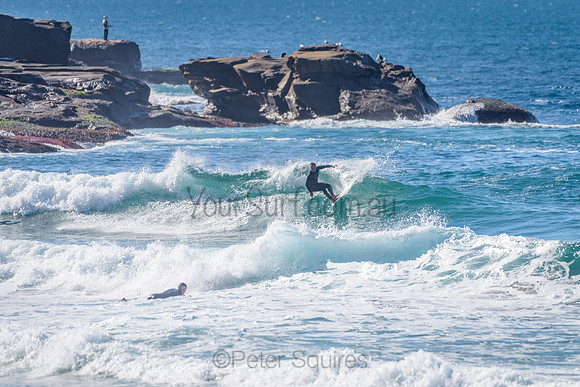 Whale Beach_210625_113801_0096