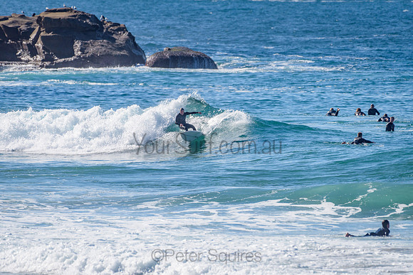 Whale Beach_210625_113826_0097