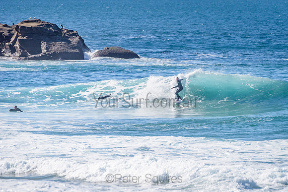 Whale Beach_210625_114449_0119