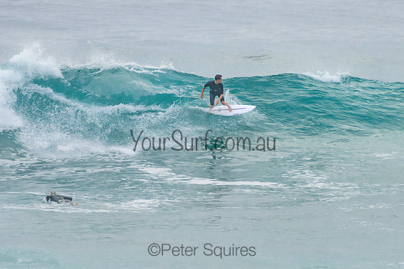 Mona_Vale_220117_071523_0071