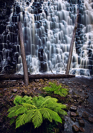 Dip Falls - Tasmania
