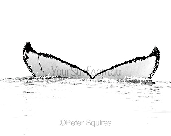 Fluke shot 7
