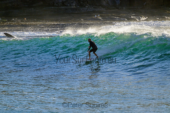 Whale_Beach_220416_072652_0035