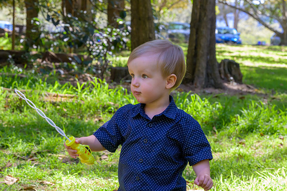 McCarrs_Creek_231015_101357_0068Y