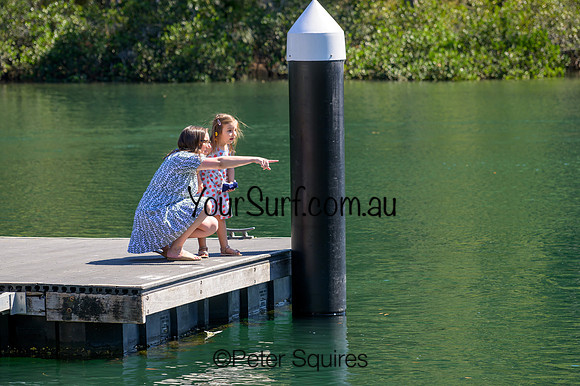 McCarrs_Creek_231015_103327_0378Y