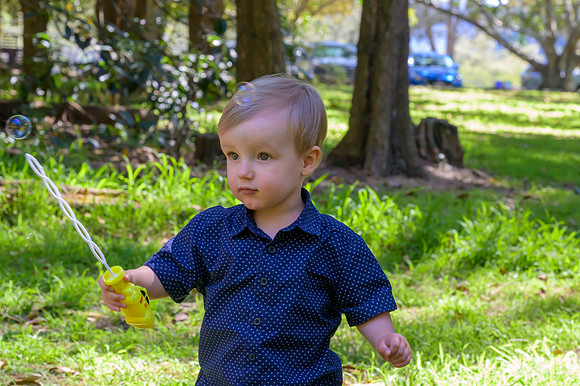 McCarrs_Creek_231015_101357_0067G