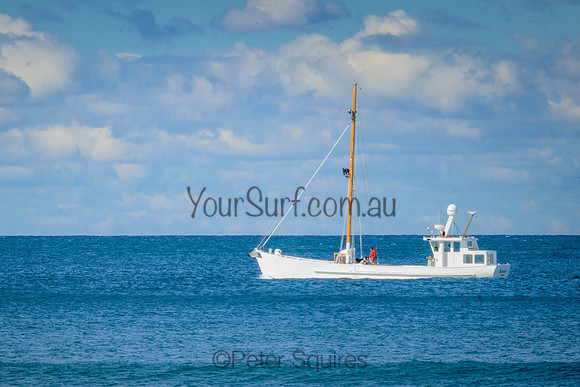 Whale_Beach_220814_135346_0045