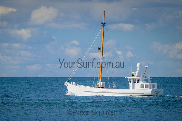 Whale_Beach_220814_135433_0046