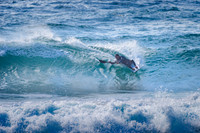 Whale_Beach_211014_090634_0002