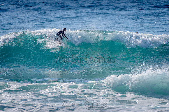 Whale_Beach_211014_092751_0088