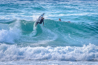 Whale_Beach_211014_090957_0012