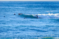 Avalon_211018_073344_0041