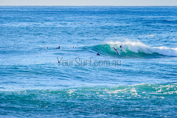 Avalon_211018_073528_0050