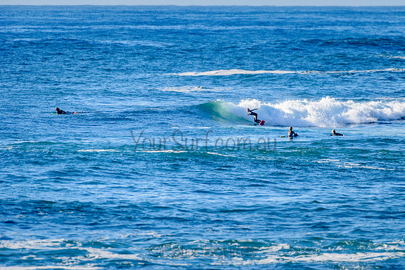Avalon_211018_075529_0177