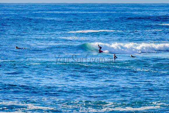 Avalon_211018_075529_0178