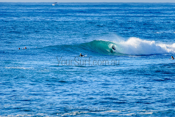 Avalon_211018_075601_0188