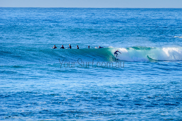 Avalon_211018_082454_0449