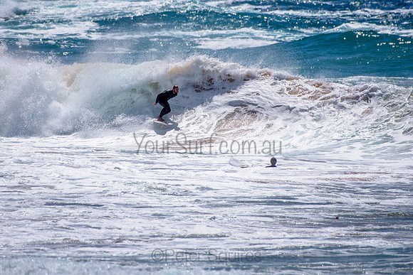 Whale_Beach_211025_111424_0056