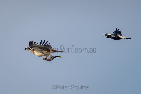 Avalon_211028_072145_0135-Edit-2