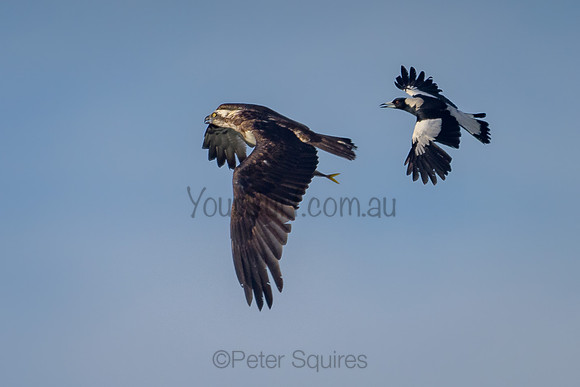 Avalon_211028_072146_0136-Edit-2
