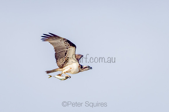 Avalon_211028_072220_0143-Edit-Edit-2
