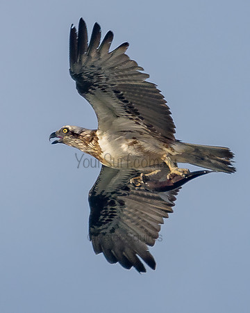 Avalon_211028_072147_0137-Edit