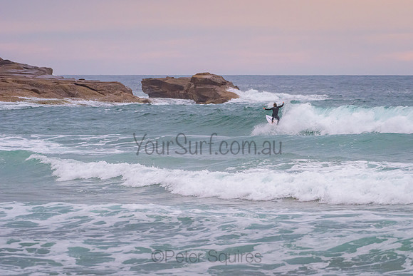Whale_Beach_211104_062917_0049