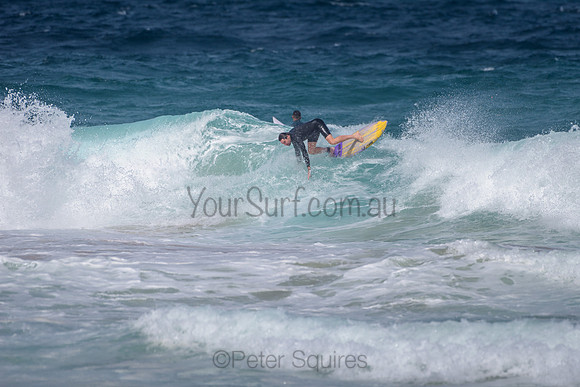 Whale_Beach_211105_145449_0180