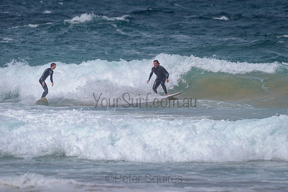 Whale_Beach_211105_142859_0075