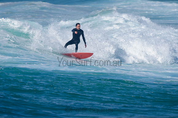 Avalon_211106_092047_0284