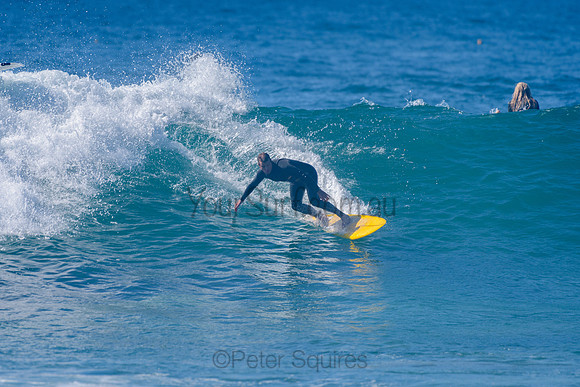 Avalon_211106_092906_0291