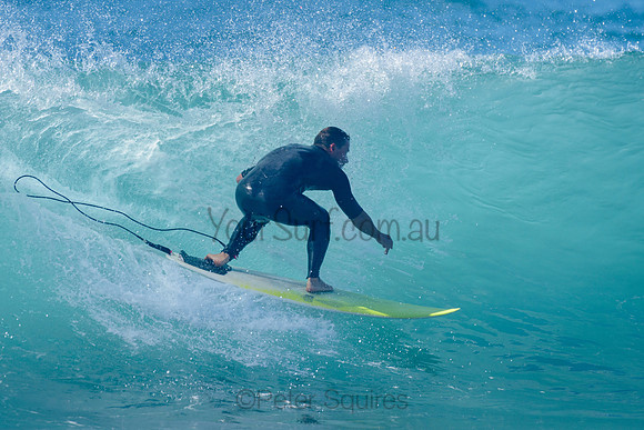 Avalon_211106_092010_0281